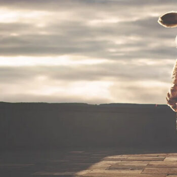 Person in rabbit costume under cloudy sky.